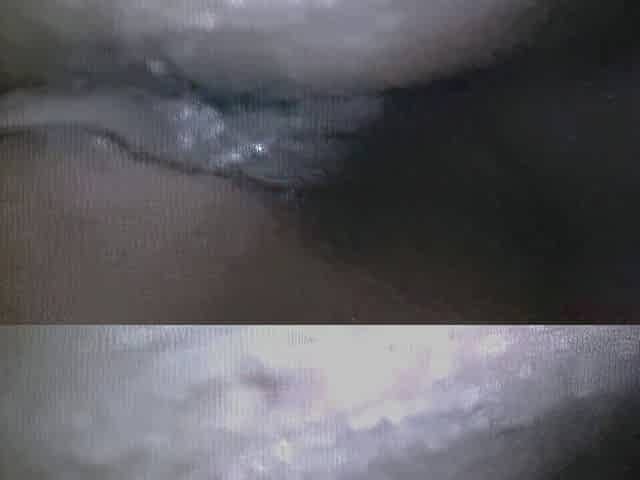 My wife going faster with huge oral sex joy eating vagina