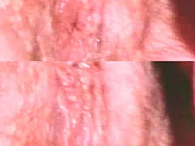 Vintage Blowjob and Hardcore Fucking Video Magic