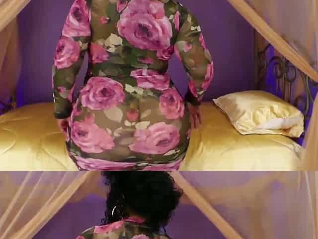 Sugar Jones Pink Roses POV solo