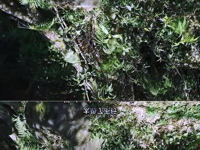 An excursion in nature