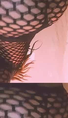 Hawt Travesti Mexican ebony fishnet costume show his booty