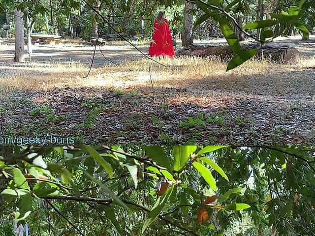 Little Red savaged by the Large Bad Wolf, gives him a head and gets a facial