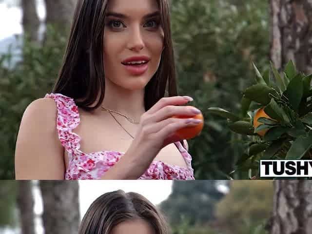 Dp Queens Vol. 3
