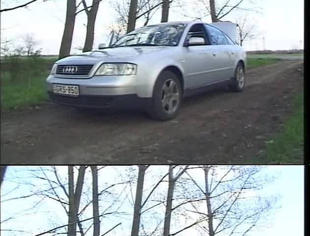 Extreme Cock Fucking with Sexy German Nymphos and Lusty Men