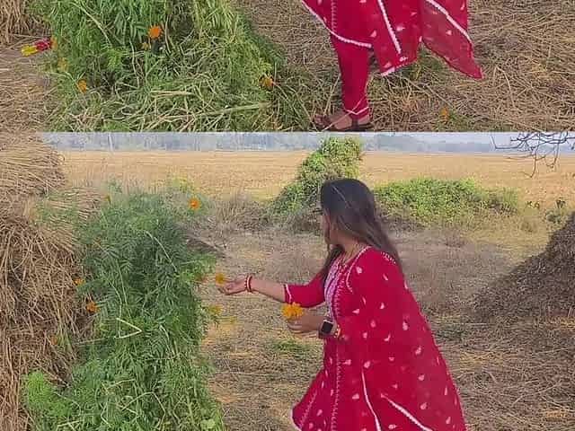 Mature Indian Wife Blowjob Kissing Scenes and Boobs Press Outdoor
