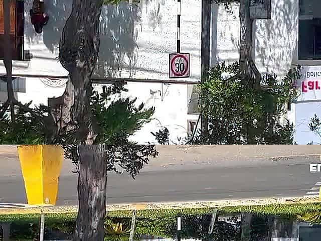 Venezuelan woman with a large booty caught doing suspicious things by a police officer on the streets of Lima