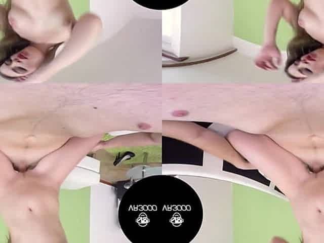 Horny Couple's First VR Scene Vol. 1