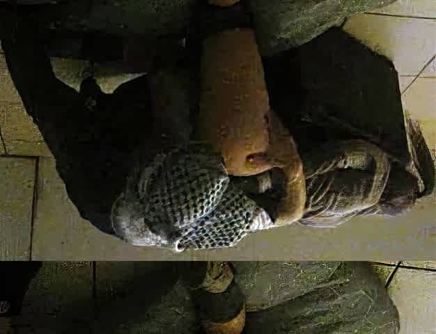 European blonde facialized after blowjob in this pov video