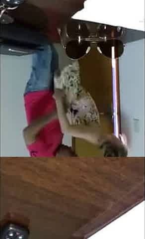 Quickie in the Office - Amateur Homemade Video