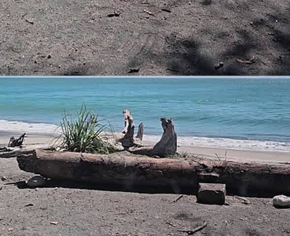 Polla dura de 6 pulgadas en playa/ 6 hard Dick at beach