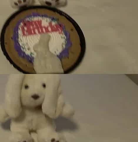 Stuffed Bunny Gets Screwed Gorgeous Hard (Not plan to lie)