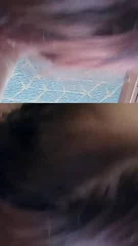 First Time for Trixie