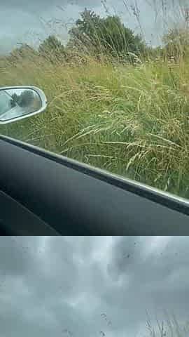 Most excellent oral-job in the car in public, youthful stepmom