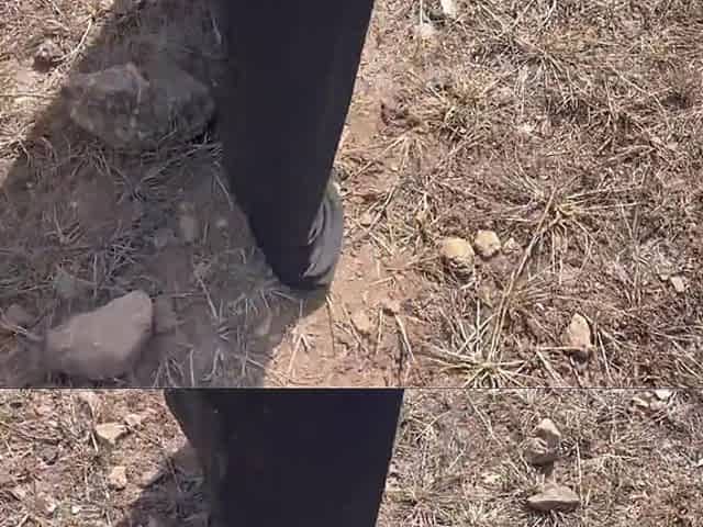 Indian Desi Muslim Girl Cheating Boyfriend and Rough Sex with Village Boy at Jungle Outdoor - Hindi Audio
