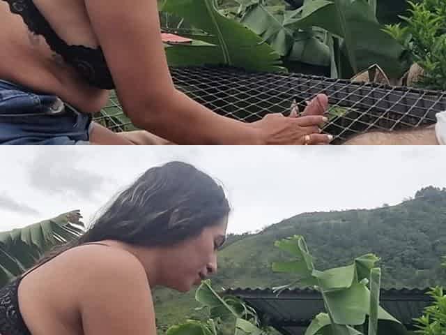 Outdoor Blowjob on Vacation with Girlfriend