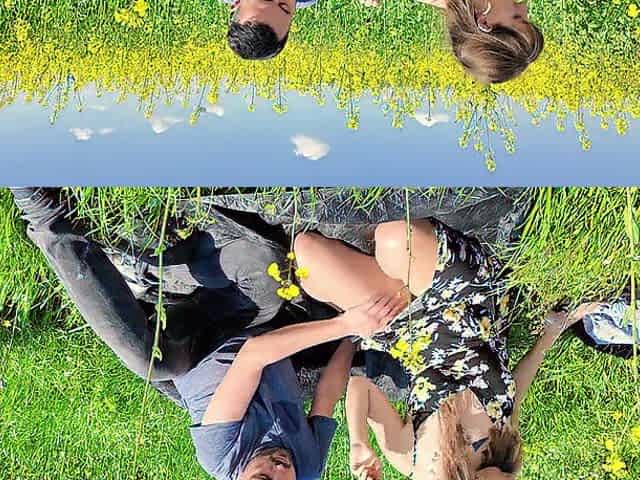 Romantic doggy le in a field