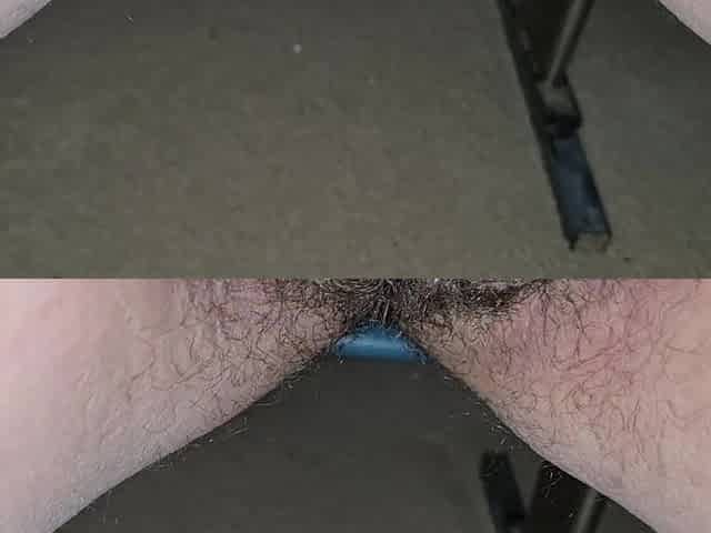 Peeing on the carpet