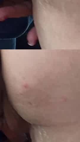 Outdoor Sex Next to Car