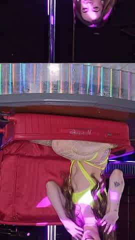 Suitcase Surprise
