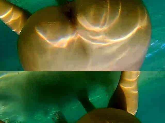 Underwater Sex and Creampie Vagina Cleaning