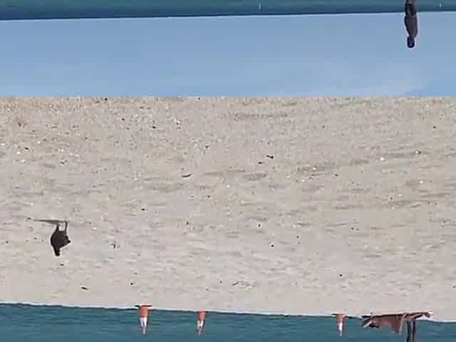 Have You Ever Saw Seen This???? Fucking 2 Sluts At Public Beach With Louie Smalls, Aoki Kalani And Marina Maya