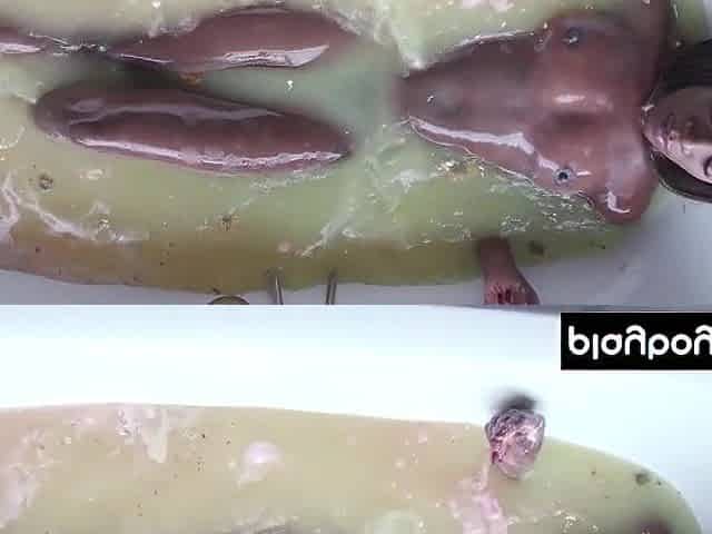 Tiny melons black chick toying her wet darksome twat