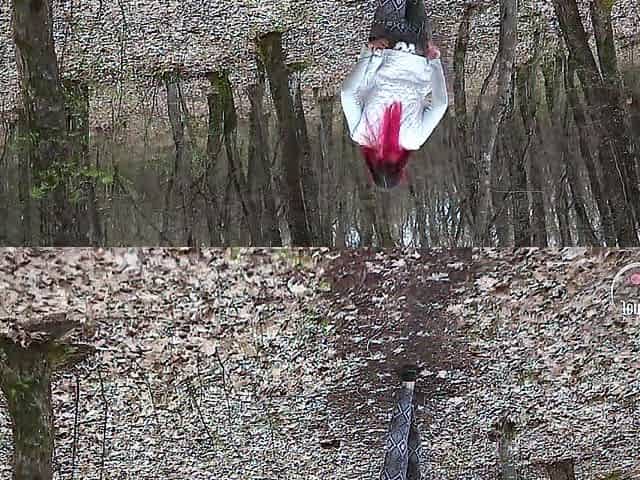Fast oral pleasure and footjob in the spring forest with pinkhair gal
