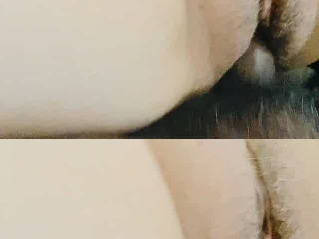 Small dick