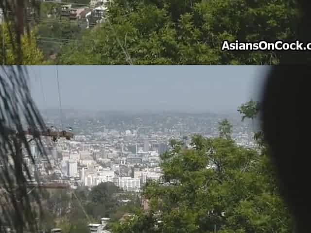 Asian Rich Teen 18+ Craves For Drivers Fat Dick In Skirt