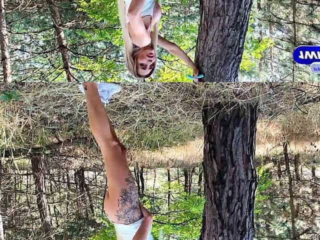A romantic hike through the forest led to a super hot woods fuck-a-thon session and a cum-filled mouth for this fortunate guy. B