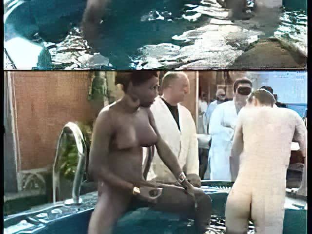 Shemale bisex orgy