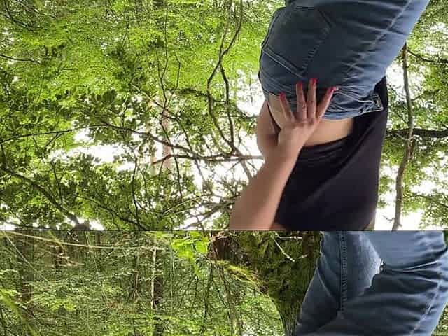I Was Very Excited Alone in the Forest Ich War Ganz Aufgeregt Alleine Im Wald