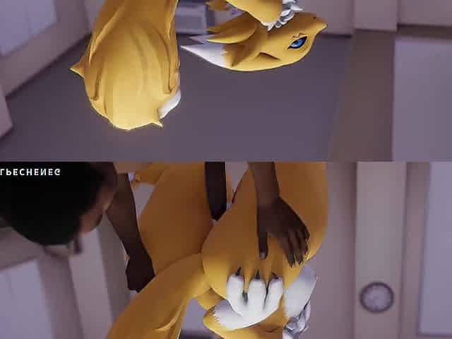 Renamon Fur Compilation: Volume 1