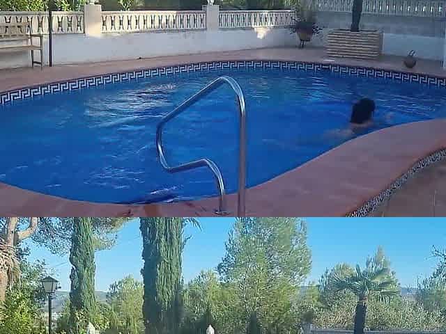 Getting Moist by the Pool