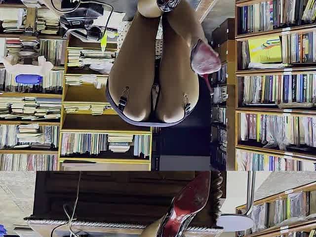 Librarian Monika Foxxx has enjoyment with a telephone handset and large toys