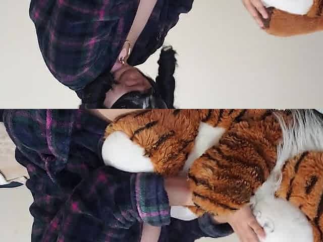 Side view robe humping tiger (fan)