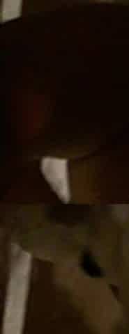 Indonesian Friend Pulls Cock Nicely