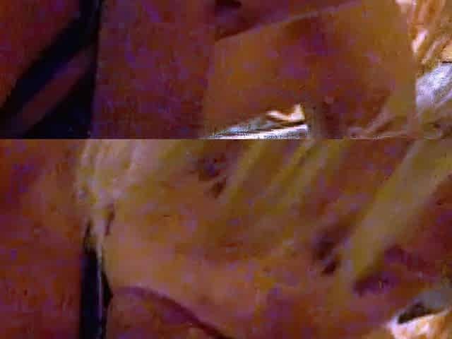 Wife deepthroat