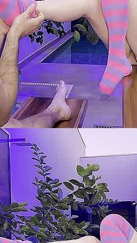 Licking Feet