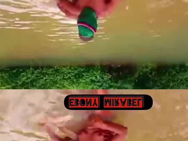 Housewife play love in the river with her sugar hunk