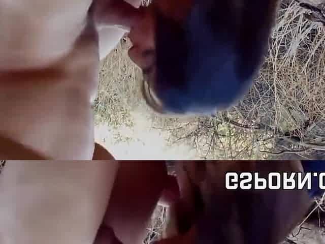 Miladys Hard Fuck Sex By