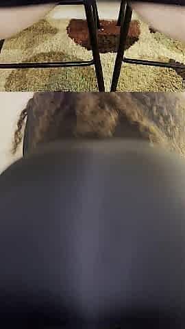 Upskirt Butt Explosion