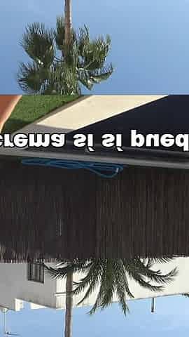 Brazilian Cheating Wife Gets Fucked by the Swimming Pool Cleaner