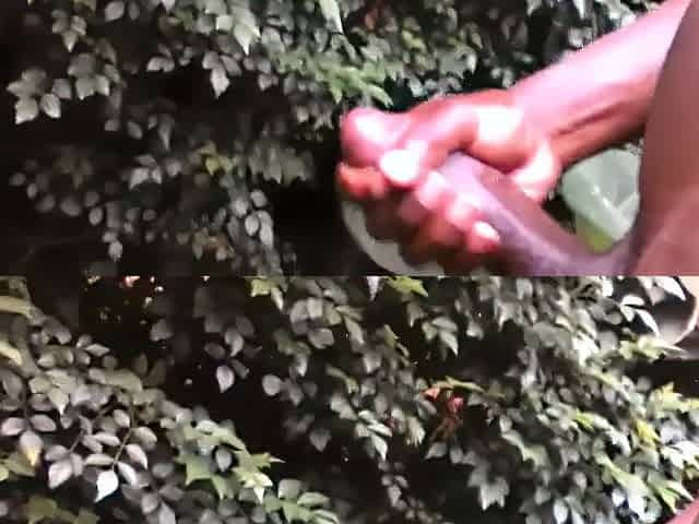 CURVED PENIS TEEN MASTURBATING IN PUBLIC