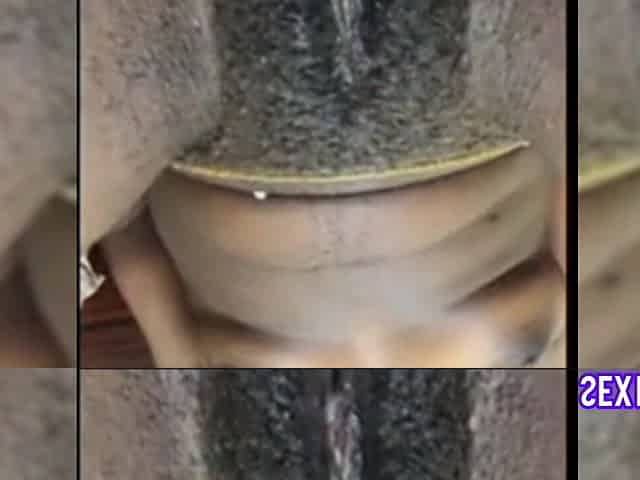 black sexy honey with Ravishing ebony hair snatch
