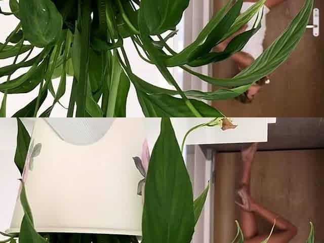 Hot Teen Blowjob Handjob