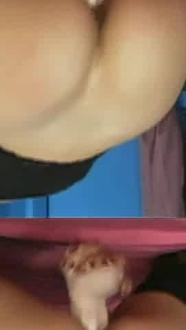 I Like Fake but Big Cock