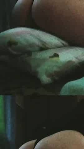 I'm Fucking a Pillow and Imagining Riding Your Cock
