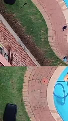 Caught My Neighbours Fucking When Flying with My Drone