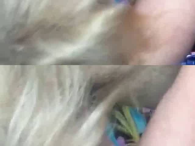 Single American Mom Loves Sucking Cock